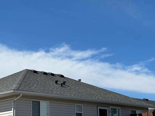 Best Skylight Installation and Repair  in Parker, FL